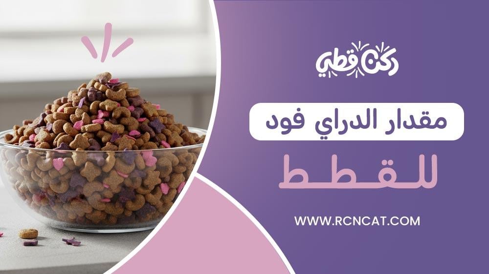 مقدار الدراي فود للقطط حسب العمر والوزن