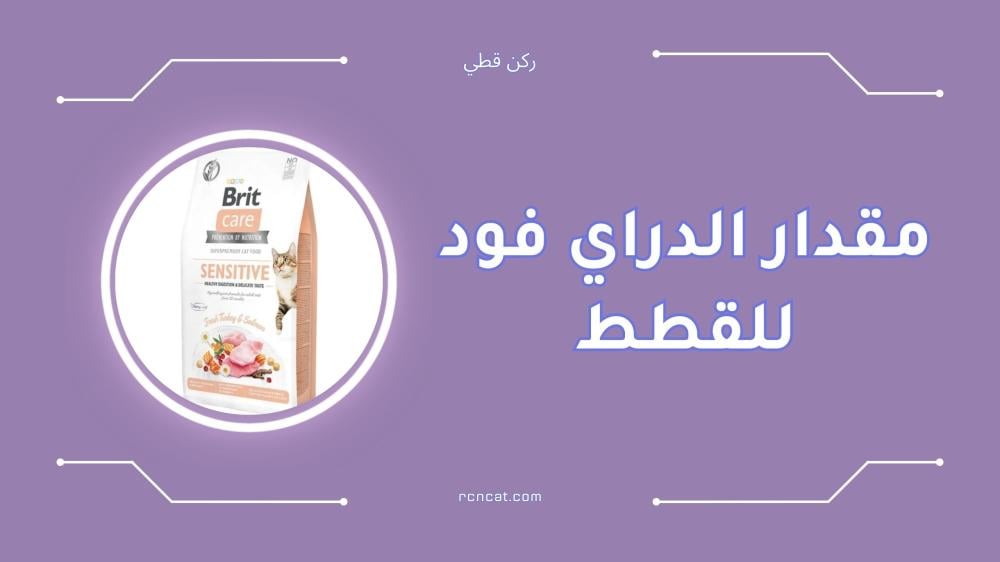 مقدار الدراي فود للقطط حسب العمر والوزن