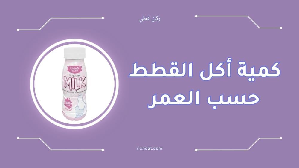 كمية أكل القطط حسب العمر بالتفصيل