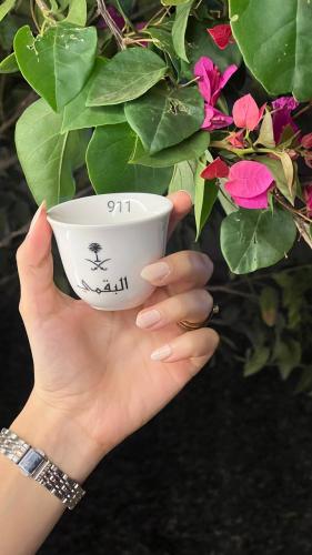 فنجال قبائل بدون عبارات داخليه