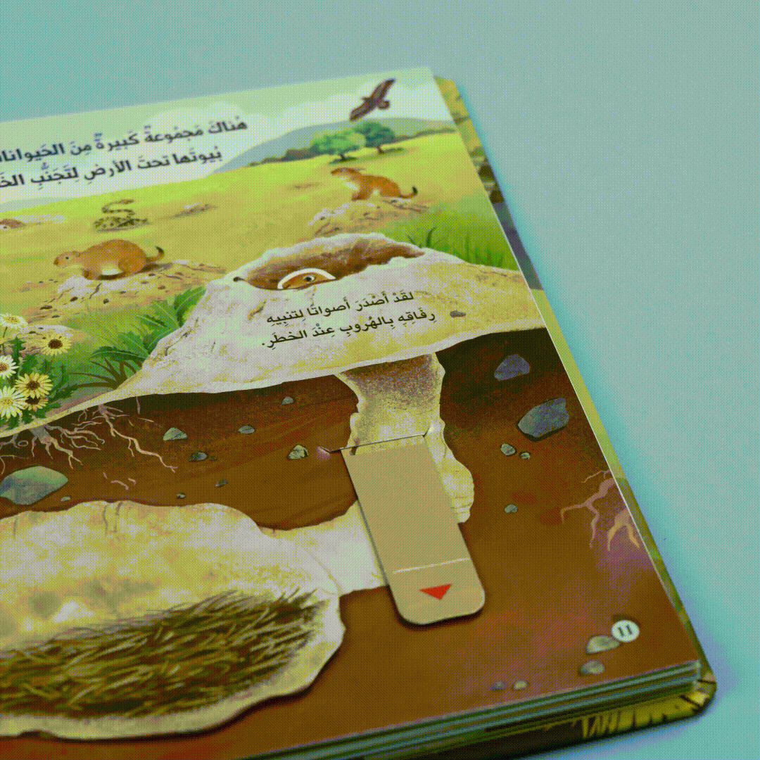 مملكة الحيوان: البرية