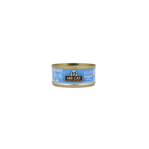 Mr Cat Ocean Fish & Salmon in Jelly Carton (24x80g)