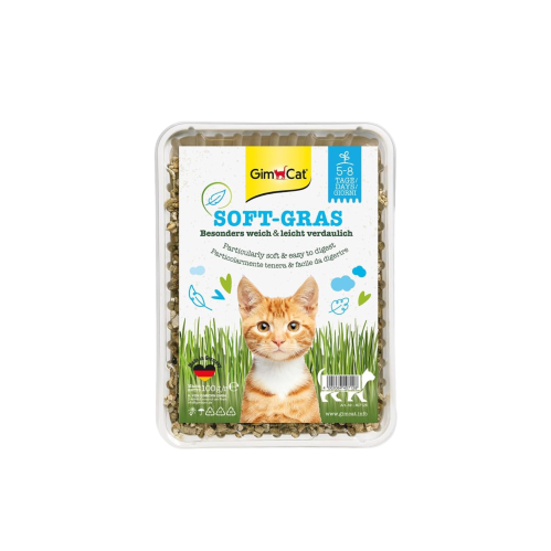 عشبه قابله للزراعه للقطط عشب ناعم من شركة Gimcat