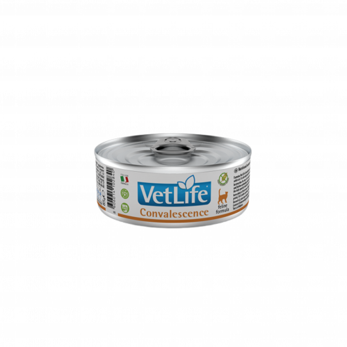 Canned food for cats to recover from illness or surgery from Farmina
