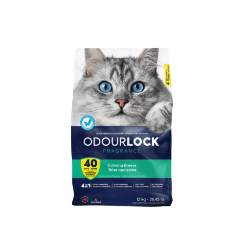 Intersand High Agglomeration Breeze Scented Sand