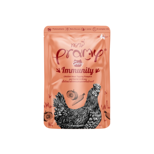 اظرف فيليه الدجاج مع الجزر بالمرق من شركة Pramy