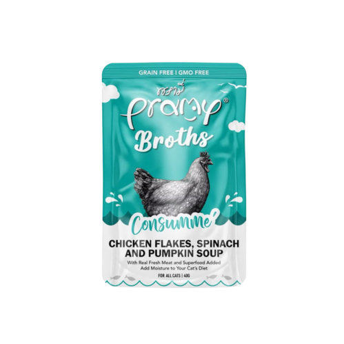 Pramy's Chicken Broth with Spinach and Pumpkin