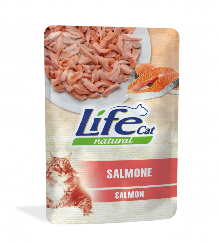 أظرف سمك السالمون من شركة LifeCat