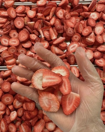فراولة مجففة بالتبريد-10 جرام