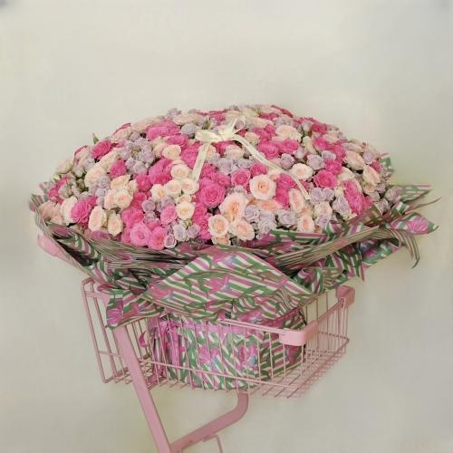 Super Mix Baby Rose