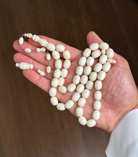 مسباح عظم جمل وسط البشاري