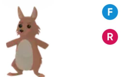 Kangaroo ( FR