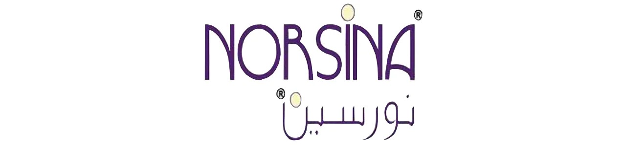 نورسين