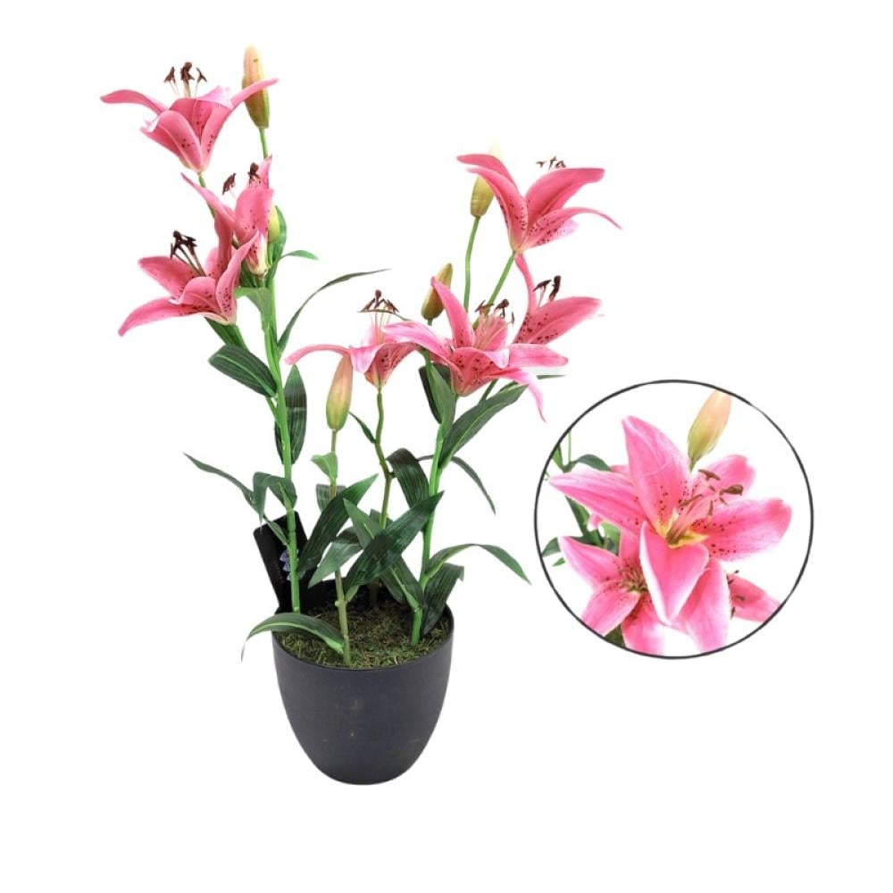 خضار 57 سم ورد زهري غامق بمركن اسود