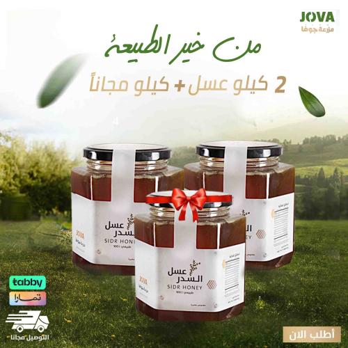 عرض العسل 2 كيلو + 1 كيلو مجاناً