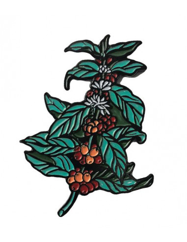 غصن القهوة | Coffee