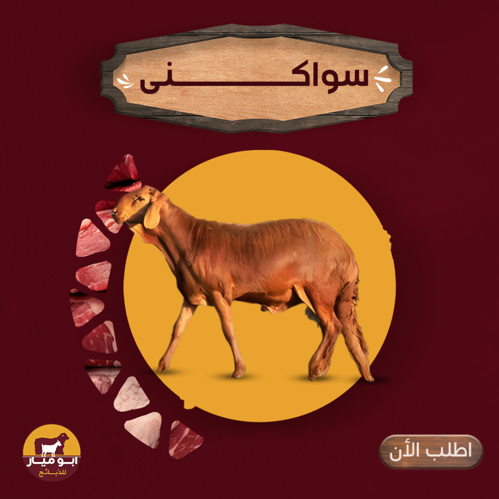 سواكنى جذع (تربية)