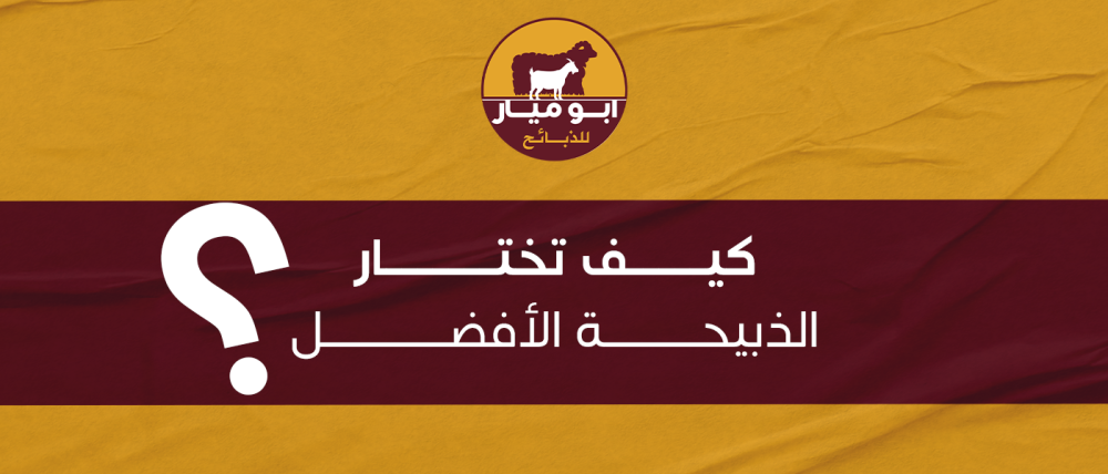 كيف تختار الذبيحة الأفضل