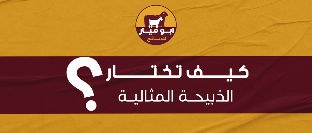 كيف تختار الذبيحة المثالية كيف تختار الذبيحة المثالية