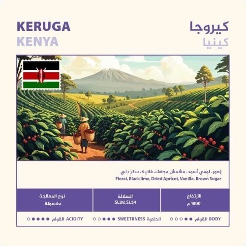 محمصة نهج - كينيا كيروجا , مغسولة 250g