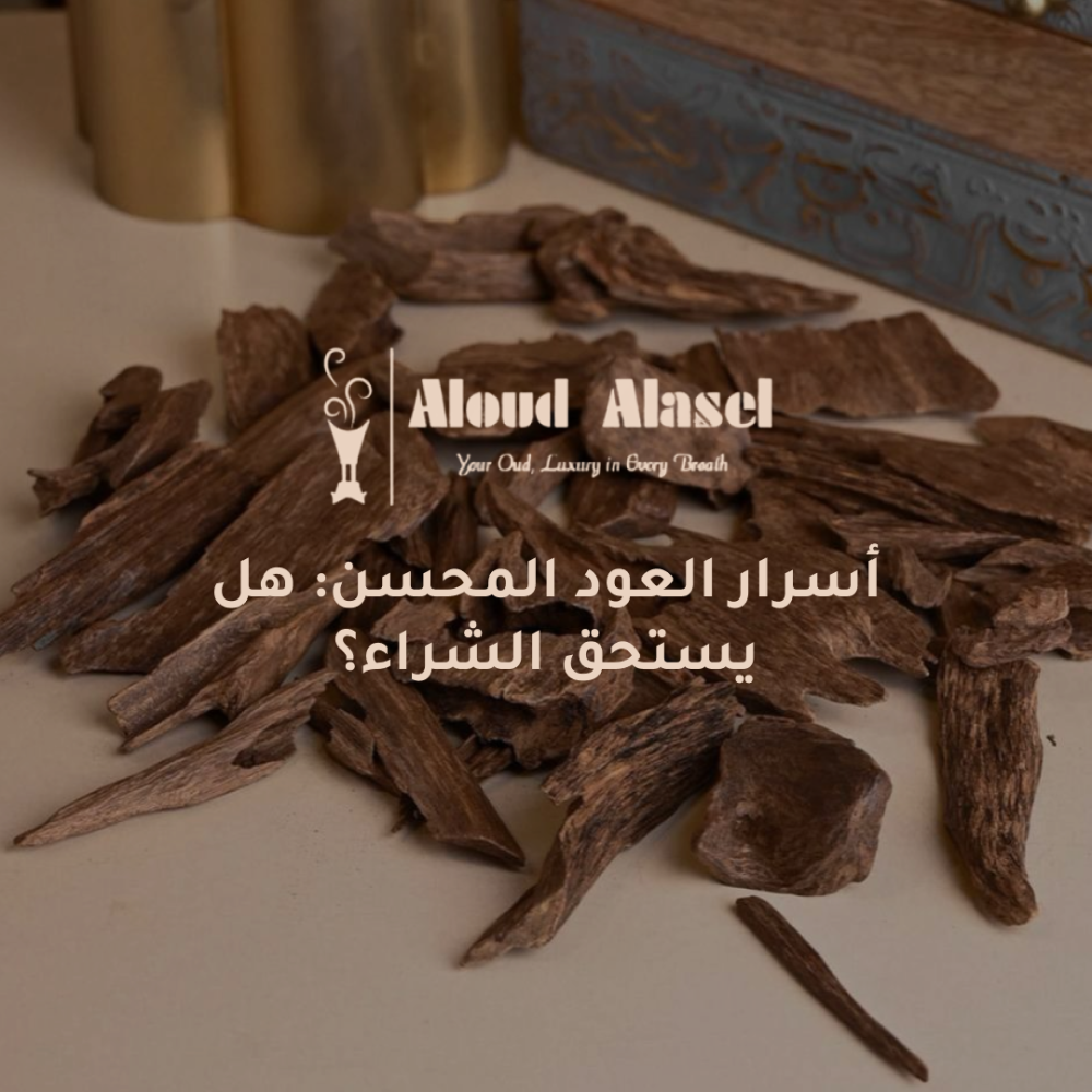 كل ما تريد معرفته عن العود المحسن | أسراره واستخداماته وجودته