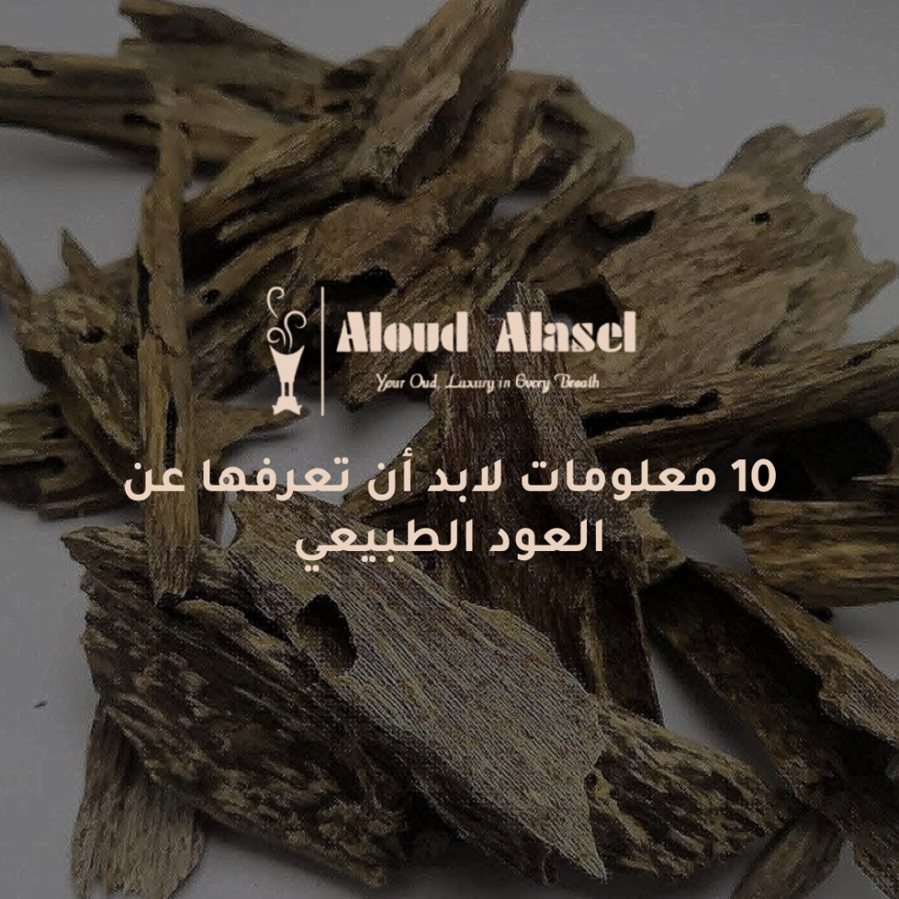 10 حقائق عن العود الطبيعي – هل تعرفها كلها؟
