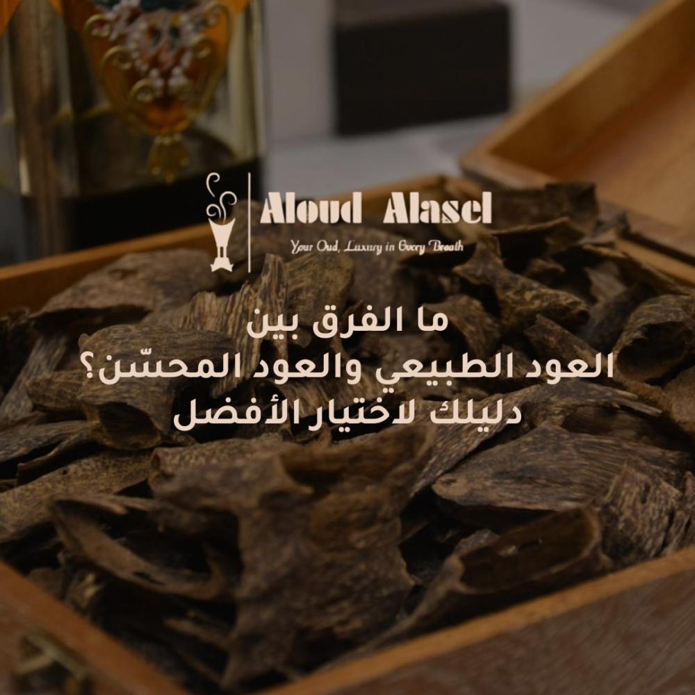 قبل ما تشتري العود… اعرف الفرق بين الطبيعي والمحسّن!
