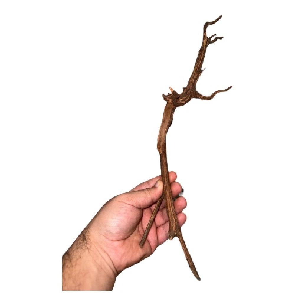 فرع خشبي كود 230098