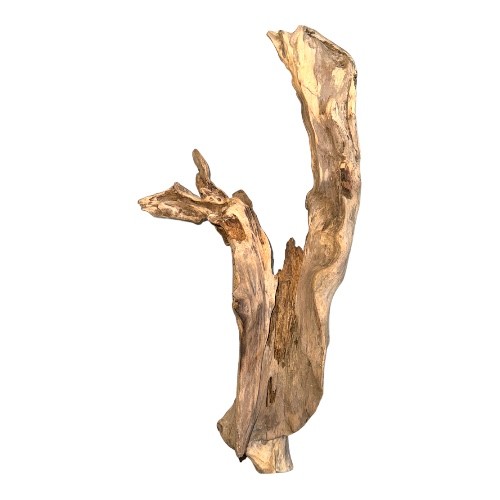 اخشاب طبيعية