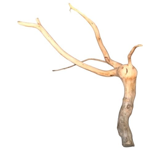 خشب طبيعي درفتوو Drift wood Driftwood تحفة تحف حوض سمك زينة احواض خشب