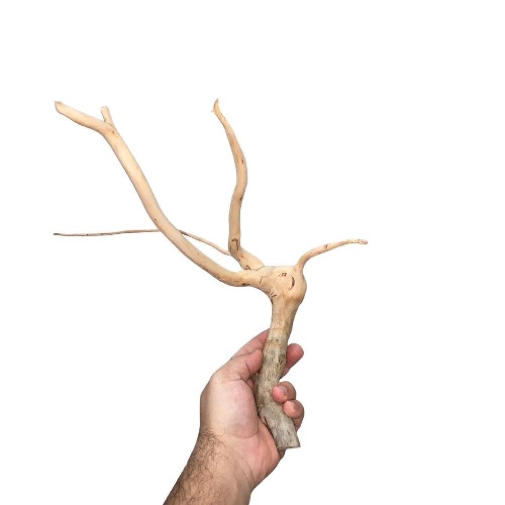فرع خشبي كود 240022