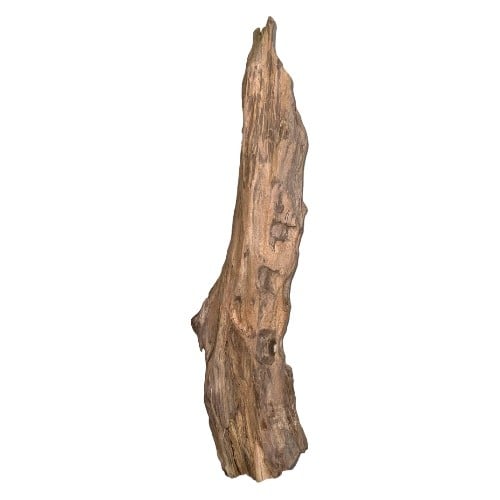 اخشاب طبيعية كود 350026