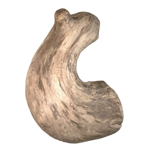 اخشاب طبيعية كود 320006