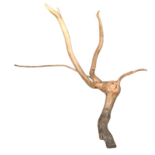 خشب طبيعي درفتوو Drift wood Driftwood تحفة تحف حوض سمك زينة احواض خشب