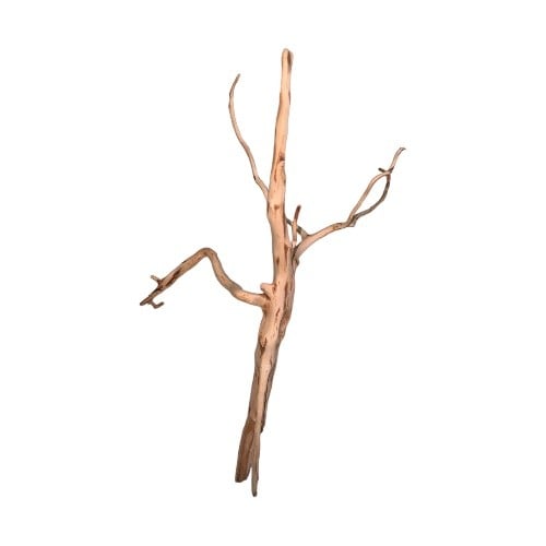 خشب طبيعي درفتوو Drift wood Driftwood تحفة تحف حوض سمك زينة احواض خشب