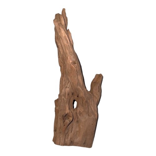 اخشاب طبيعية كود 320029