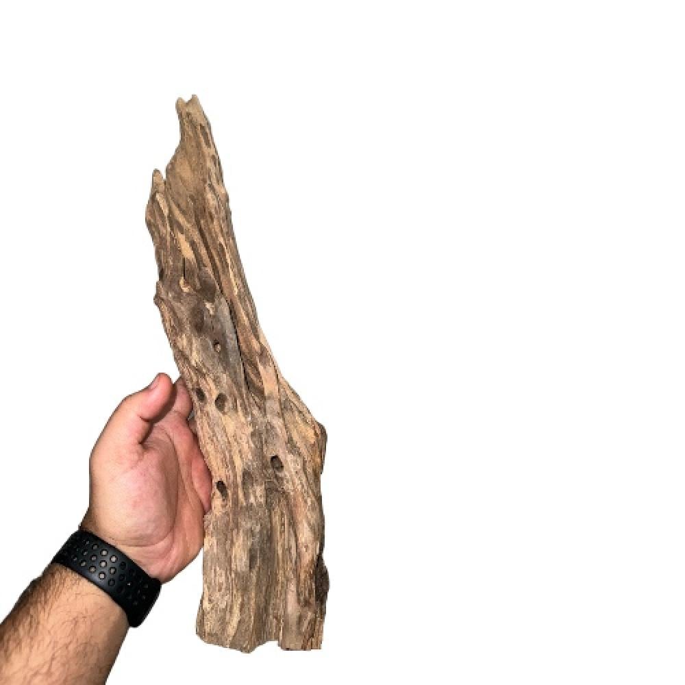 اخشاب طبيعية كود 350026