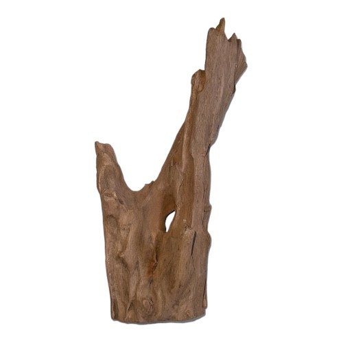 اخشاب طبيعية كود 320029