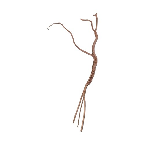 خشب طبيعي درفتوو Drift wood Driftwood تحفة تحف حوض سمك زينة احواض خشب