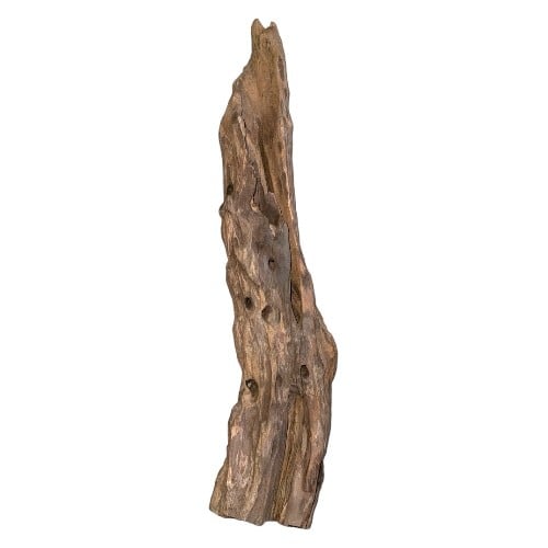 اخشاب طبيعية كود 350026