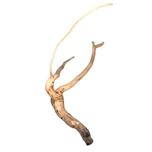 خشب طبيعي درفتوو Drift wood Driftwood تحفة تحف حوض سمك زينة احواض خشب