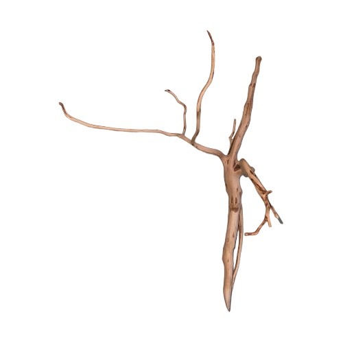 خشب طبيعي درفتوو Drift wood Driftwood تحفة تحف حوض سمك زينة احواض خشب