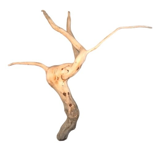 خشب طبيعي درفتوو Drift wood Driftwood تحفة تحف حوض سمك زينة احواض خشب