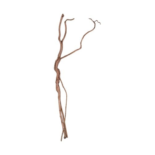 خشب طبيعي درفتوو Drift wood Driftwood تحفة تحف حوض سمك زينة احواض خشب