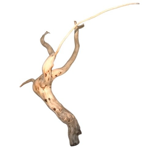 خشب طبيعي درفتوو Drift wood Driftwood تحفة تحف حوض سمك زينة احواض خشب
