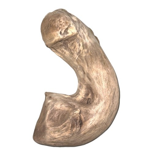 اخشاب طبيعية كود 320006