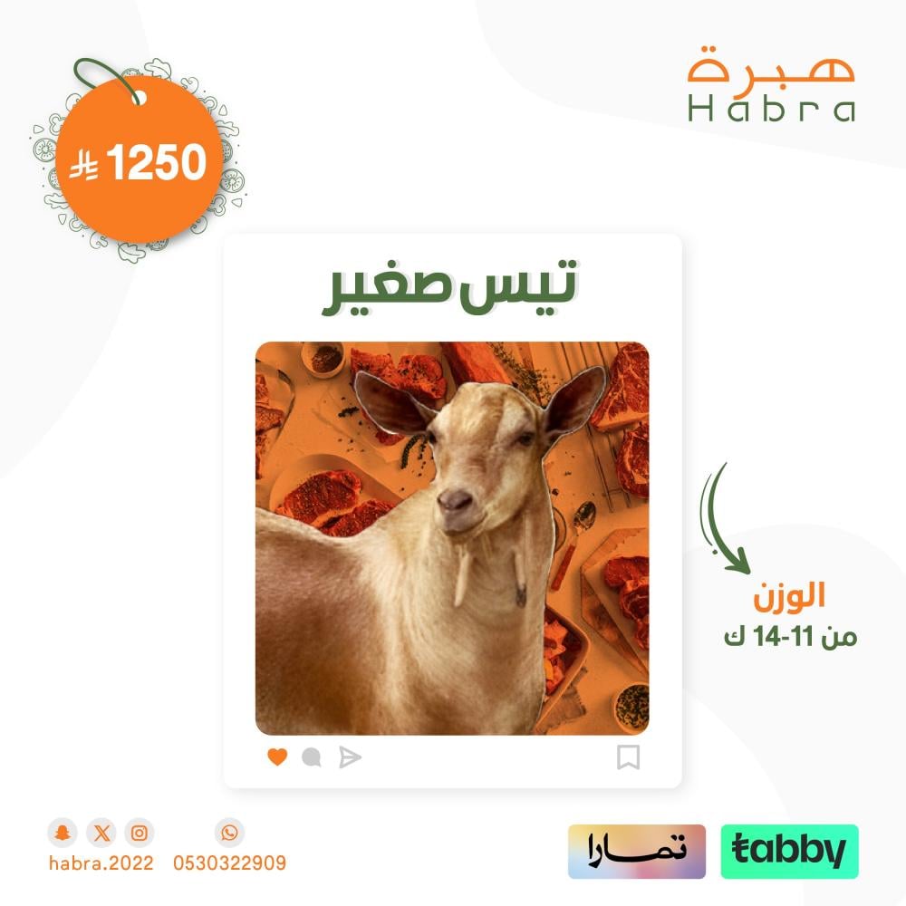 ذبيحة تيس صغير