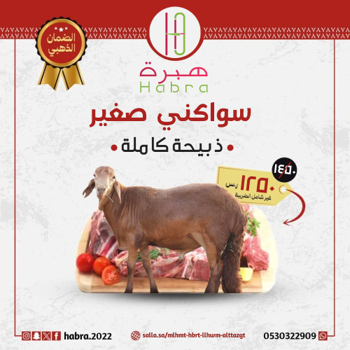 سواكني صغير (ذبيحة كاملة)