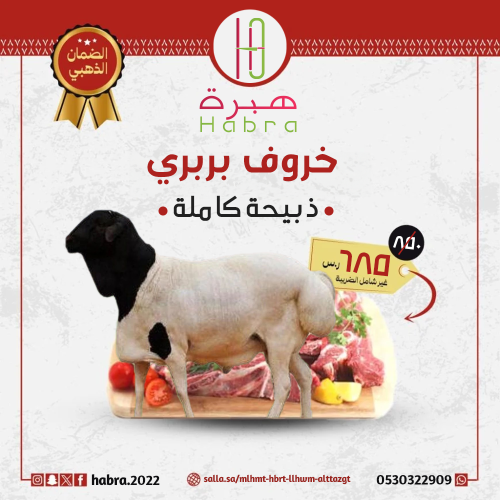 بربري (أضاحي)