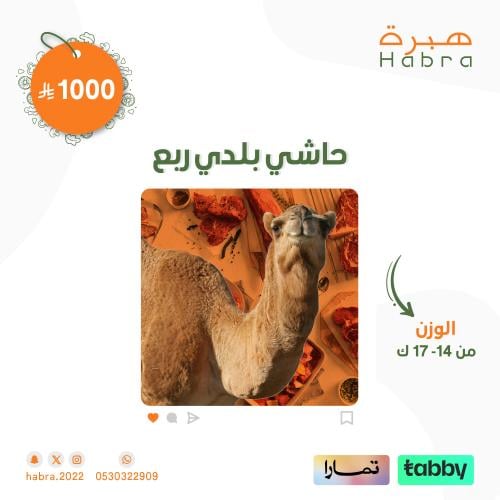 حاشي بلدي ( ربع ذبيحه )